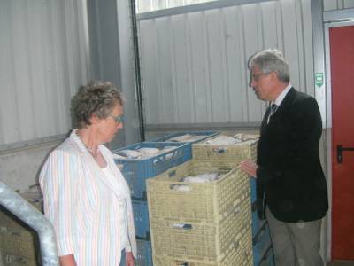 Besuch Kartoffel Deyerling Dollbergen 22.08.2016 - Regionsabgeordnete Marion Gellermann und Jürgen Fellmann begutachten Deyerling-Kartoffeln