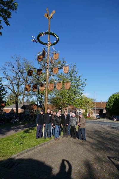 Maibaum 2017 - 